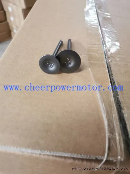 Motorcycle Valve Inlet Exhaust Set For GY6-150 (2)