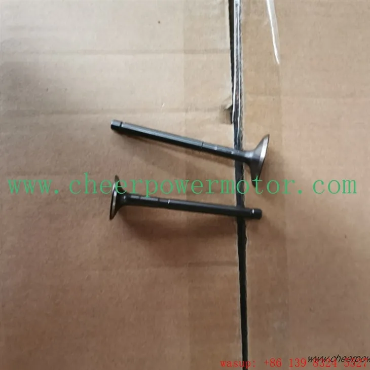 BAJAJ RE205 Þríhjóla inntaksvélarventill